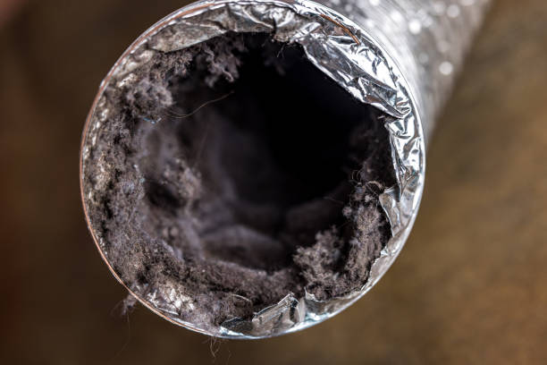 Best HVAC Duct Inspection Services  in Willowick, OH